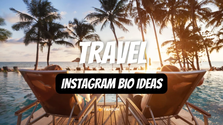 Instagram Bio Ideas for Travel Bloggers & Influencers